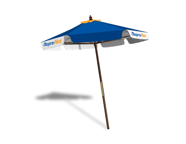 Image de Parasol